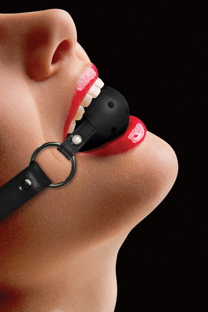 Ball Gag